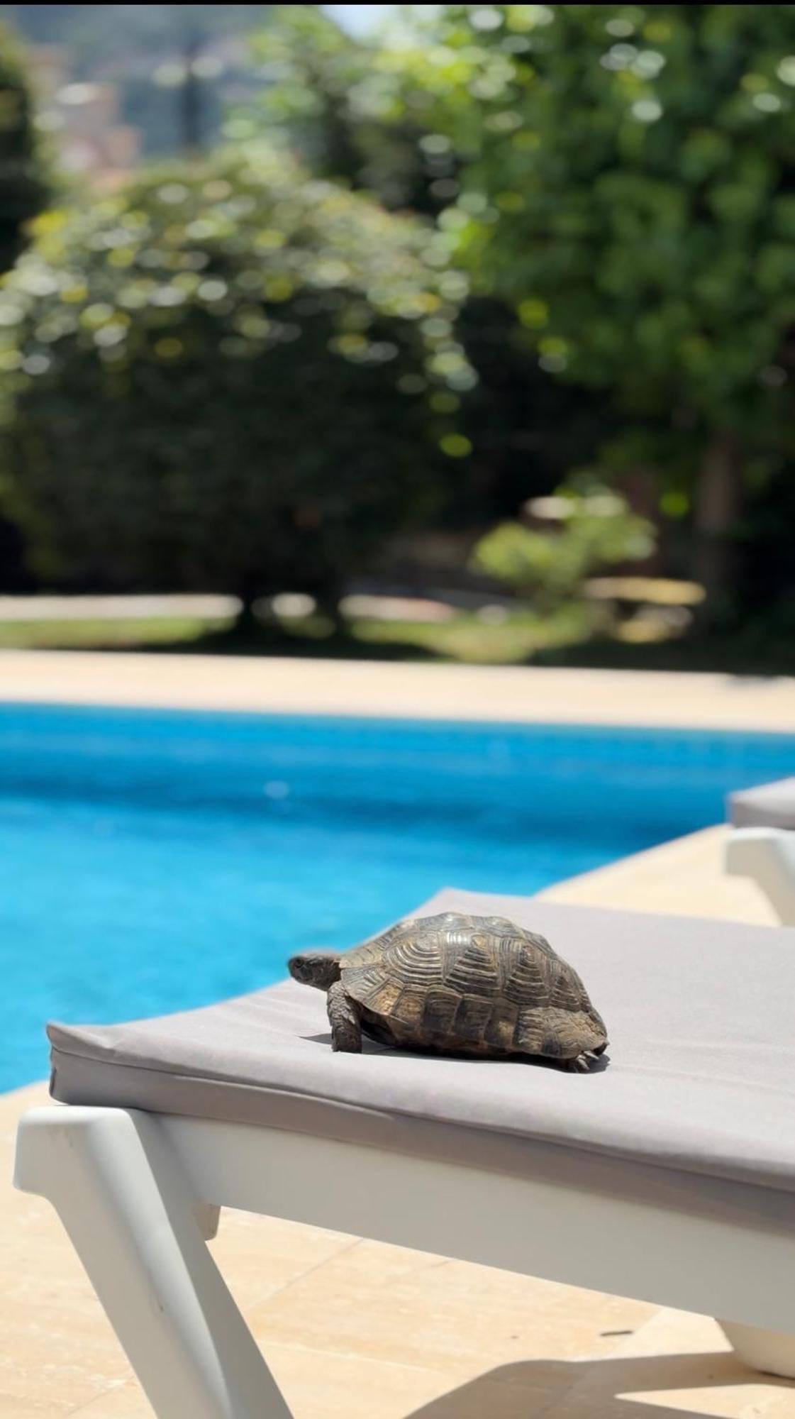 Villa Xanthos 301 Oludeniz Kültér fotó